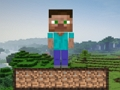 Laro Minecraft Survival  online
