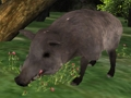 Laro Jigsaw ng Pangangaso ng Boar  online
