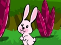 Laro Hopping Rabbit Escape online