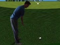Laro Flash Golf 3D  online