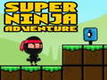Laro Super Adventure Ninja online