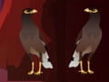 Laro Pekin Duck Escape  online