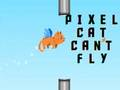 Laro Hindi makalipad ang Pixel cat  online