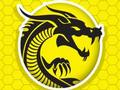 Laro Kung Fu Fury online