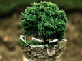 Laro Environment Jigsaw online