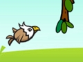 Laro Baliw na Agila!  online