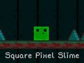 Laro Square Pixel Slime online