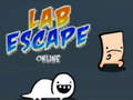 Laro Lab Escape Online online
