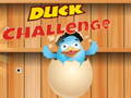 Laro Hamon ng pato  online