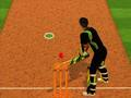 Laro Hamon ng Cricket Batter  online
