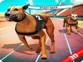 Laro Crazy Dog Race online