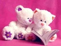 Laro Cute teddy bear slide online