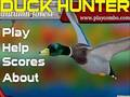 Laro Duck Hunter Taglagas na kagubatan  online