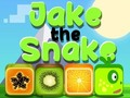 Laro Jake Ang Ahas  online