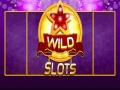 Laro Ligaw na puwang online