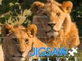 Laro Jigsaw Deluxe online