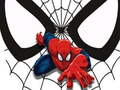 Laro Spiderman Match Card  online