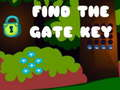 Laro Hanapin ang Gate Key  online