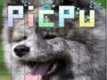 Laro PicPu Aso  online