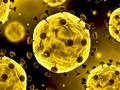 Laro Slide ng Coronavirus  online