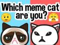 Laro Aling Meme Cat ka?  online