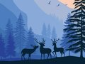 Laro Landscape Paradise Nakatago  online