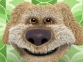 Laro Pakikipag -usap sa Ben Jigsaw Puzzle Collection online