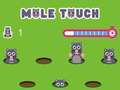 Laro Pole touch online
