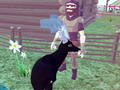 Laro Deer Simulator 3d online