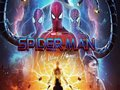 Laro Spider Man: Multiverse online