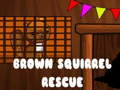 Laro Brown Squirrel Rescue online