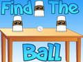 Laro Hanapin Ang Bola  online