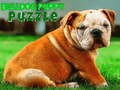 Laro Bulldog puppy puzzle online