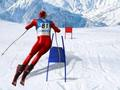 Laro Slalom Ski Simulator online