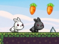 Laro Cute na Kuneho  online