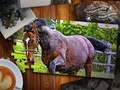 Laro Itinaas ng Jigsaw Puzzle Horses Edition  online