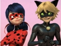 Laro Miraculous Ladybug at Cat Noir Jigsaw Puzzle  online