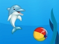 Laro Dolphin Show online