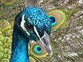 Laro Puzzle kit online