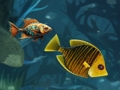 Laro Walang katapusang kasiyahan sa isda  online