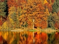 Laro Sliding puzzle online