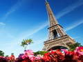 Laro Ultimate puzzle France online