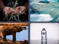 Laro Word Picture Hula  online