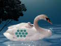 Laro I -save ang anak ng Swan Mother online