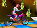 Laro Mga Bike Stunt  online