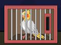 Laro Bitawan ang Ibong Cockatiel  online