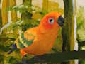 Laro Cute Budgie puzzle online