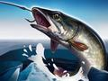 Laro Ice Fishing 3d online