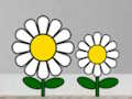 Laro Maghanap ng Succulent Plant  online