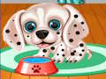 Laro Aking Puppy Daycare Salon  online